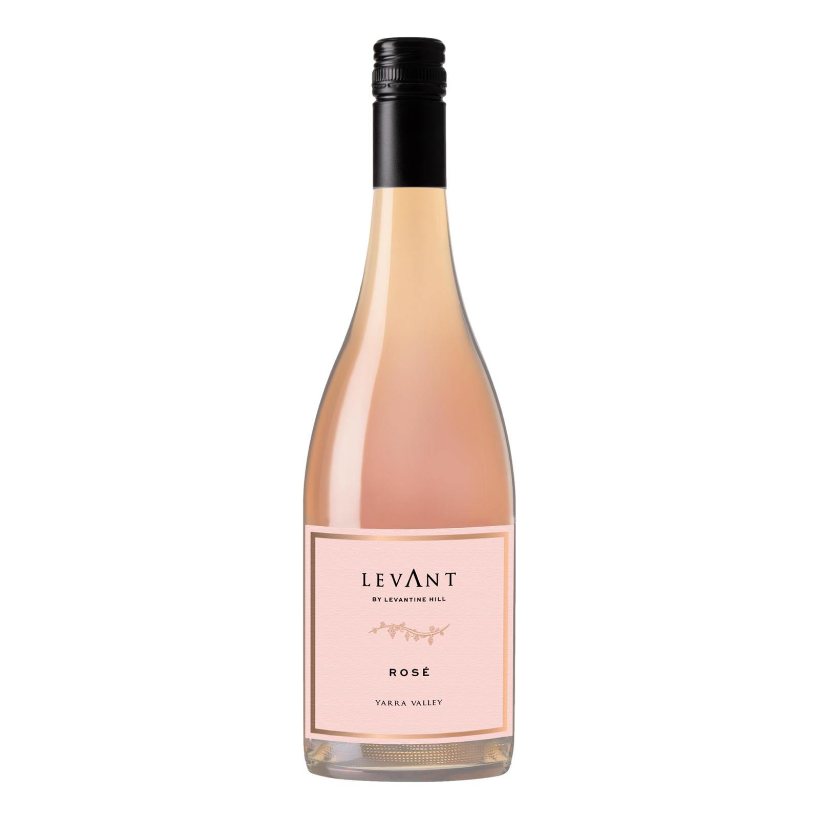 Levantine Hill Levant Rose