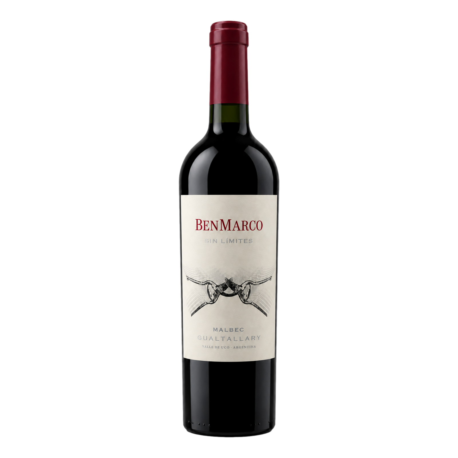 BenMarco Sin Limites Gualtallary Malbec