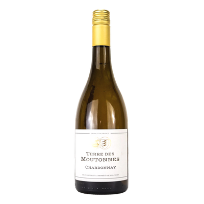 Alma Cersius Terre des Moutonnes Chardonnay - 12 Pack