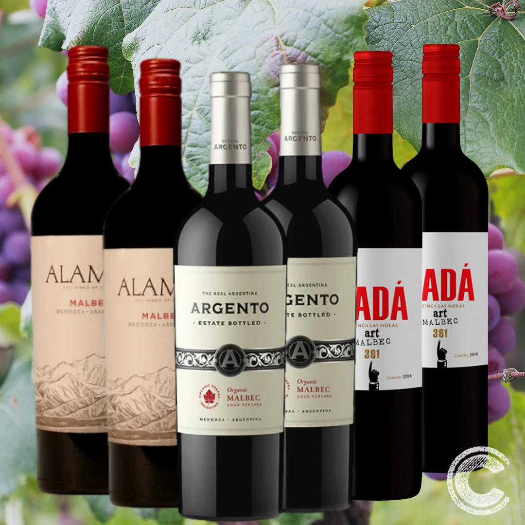 Mixed Red Wine 6 Pack - Argentinean Malbec