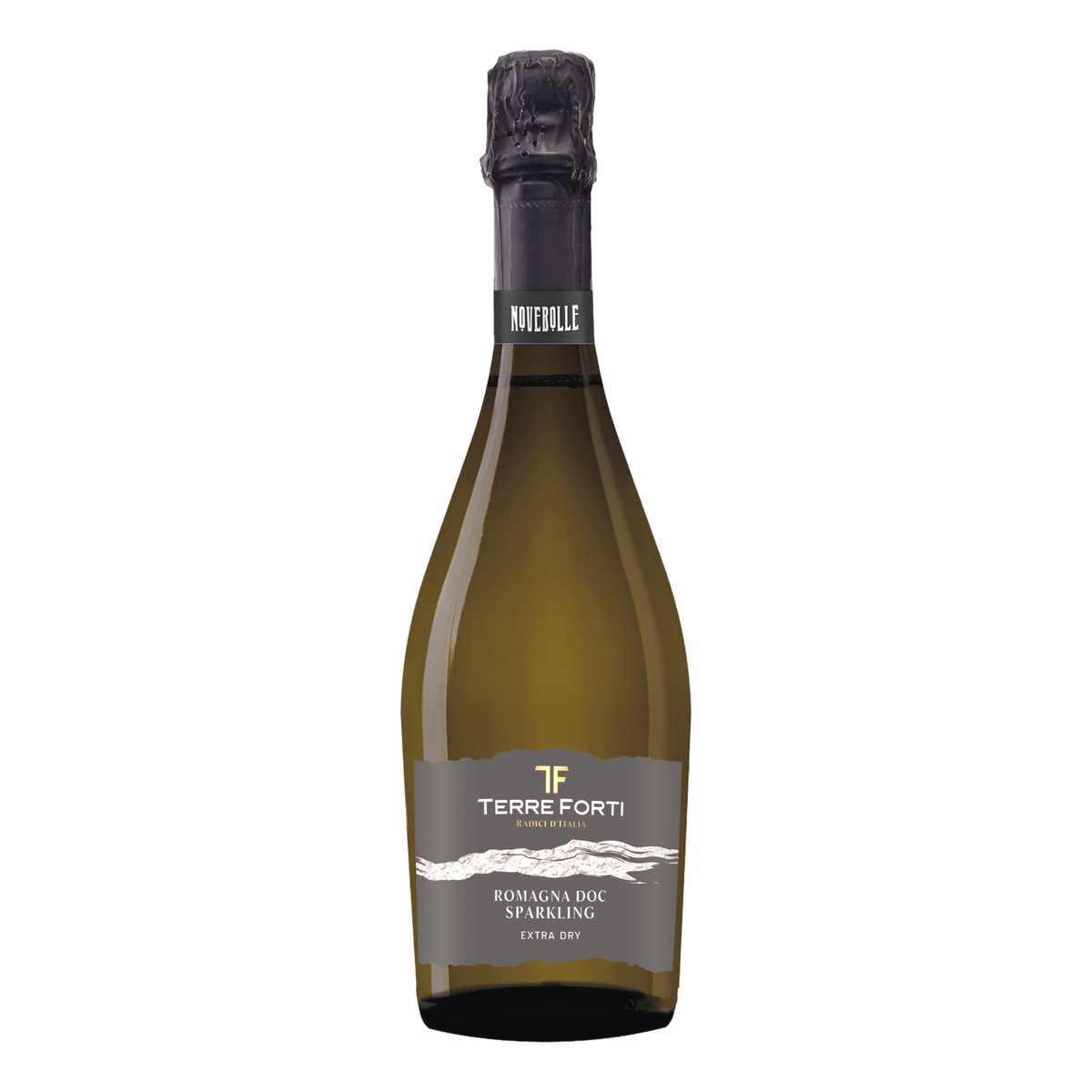 Terre Forti Extra Dry Sparkling Non Vintage DOC