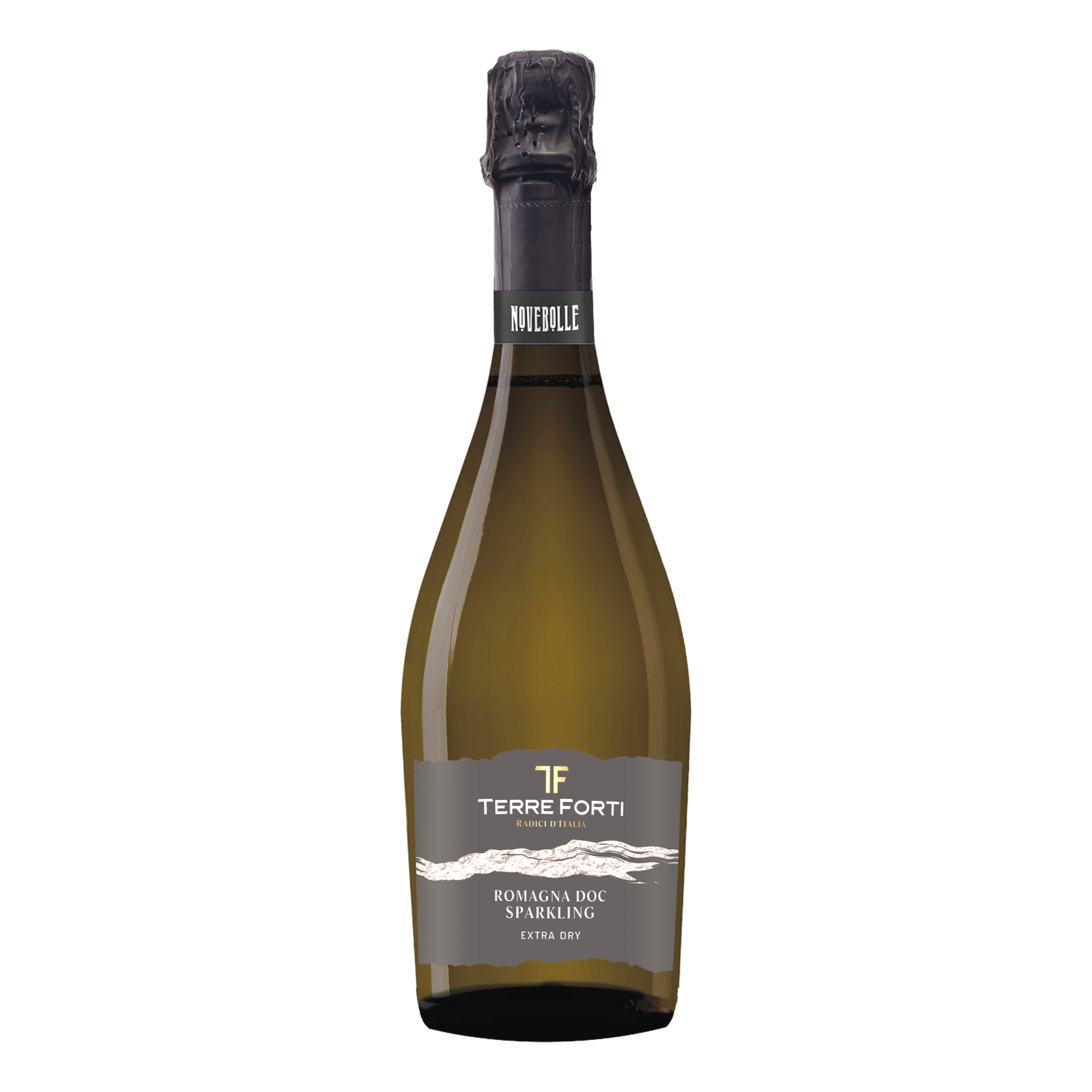 Terre Forti Extra Dry Sparkling Non Vintage DOC