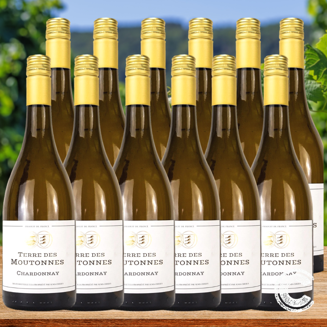 Alma Cersius Terre des Moutonnes Chardonnay - 12 Pack