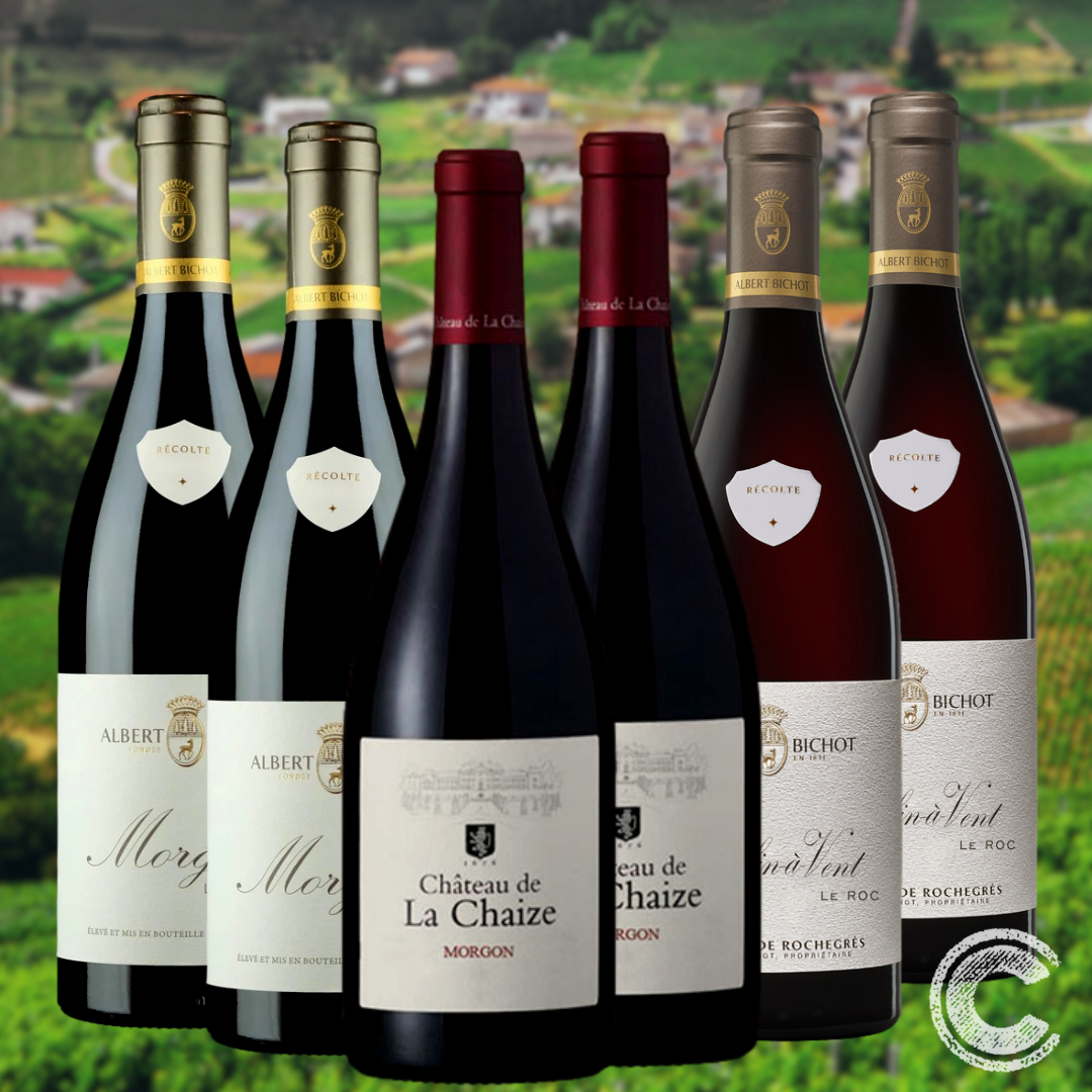 Mixed Red Wine 6 Pack - Fantastic French