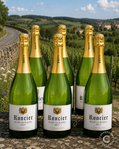 Roncier Blanc de Blancs Brut Non Vintage - 6 Pack
