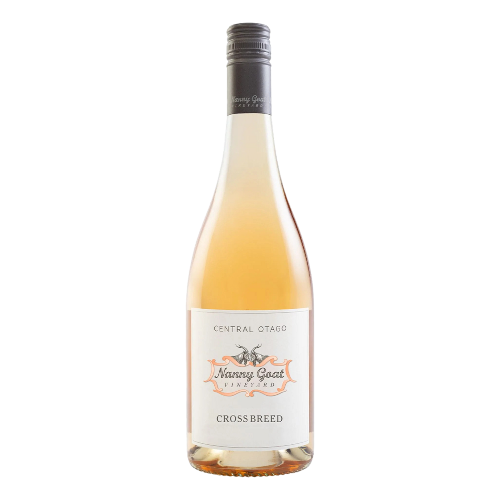 Nanny Goat Crossbreed White Blend