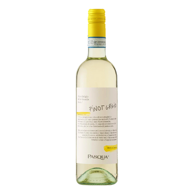 Pasqua Pinot Grigio DOC - 12 Pack