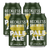Reckless Brewing Pale Ale 375ml Can 4 Pack