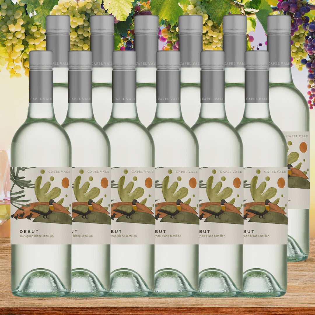 Capel Vale Debut Sauvignon Blanc Semillon - 12 Pack