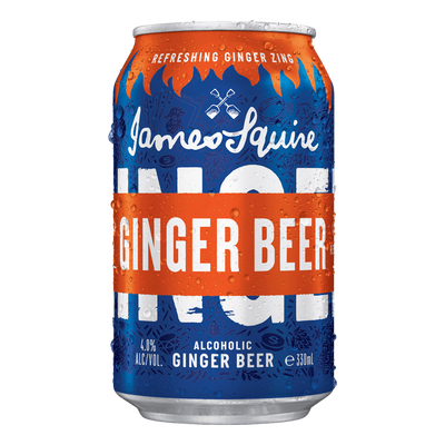 James Squire Alcoholic Ginger Beer 330ml Can 10 Pack