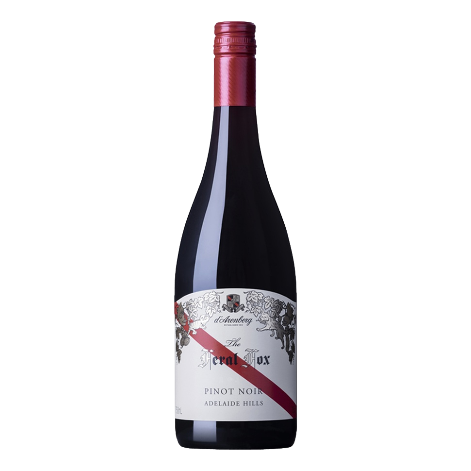 d'Arenberg The Feral Fox Pinot Noir - Camperdown Cellars